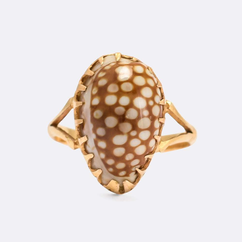 Late Victorian Cowrie Shell Ring