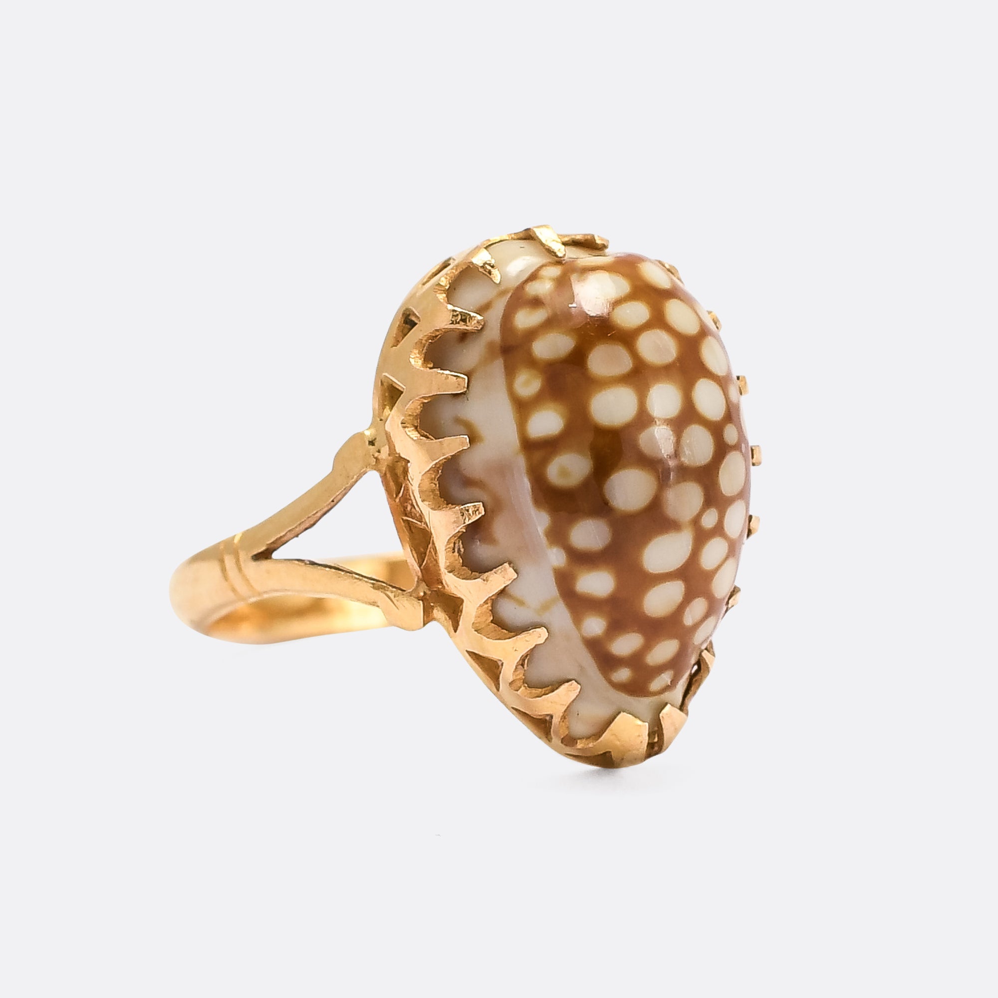 Cowrie shell on sale ring gold