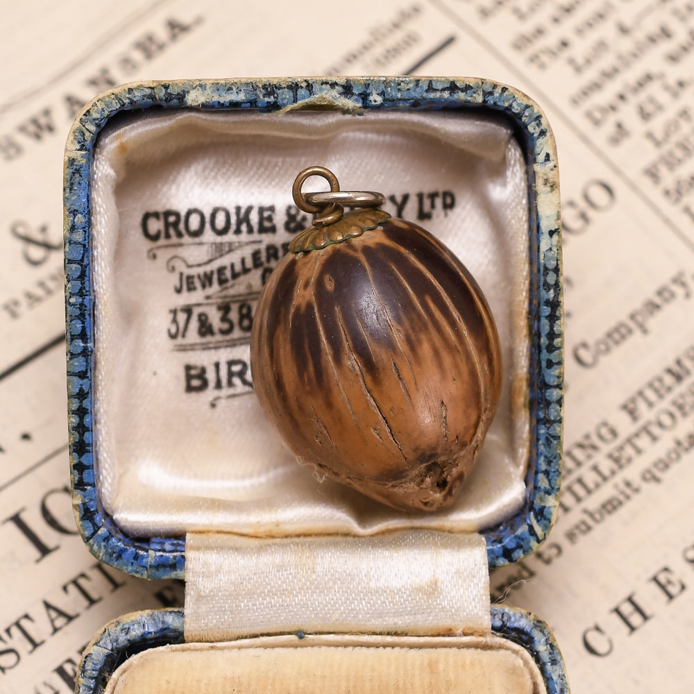 Victorian Sea Bean 
