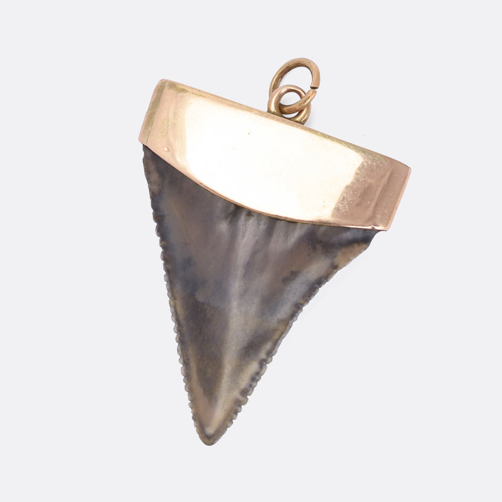 Victorian Shark Tooth Pendant