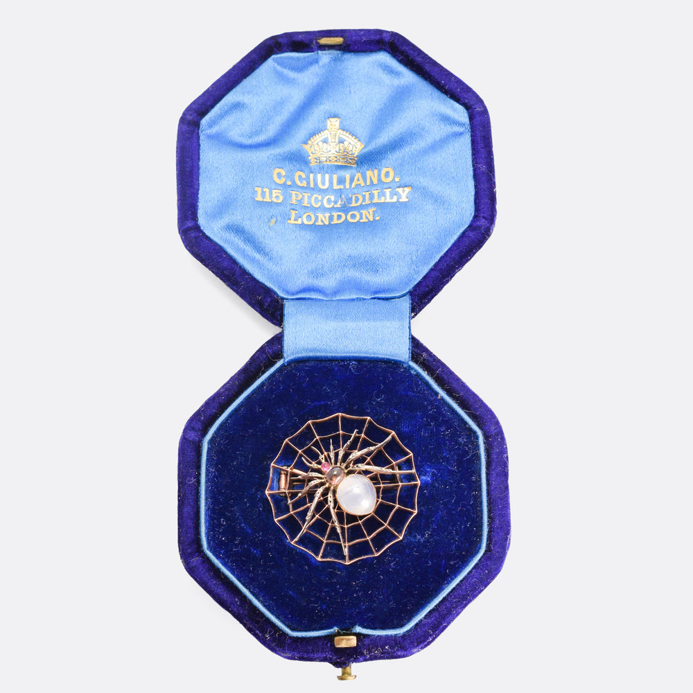 Victorian Star Sapphire Spider & Web Brooch by Carlo Giuliano